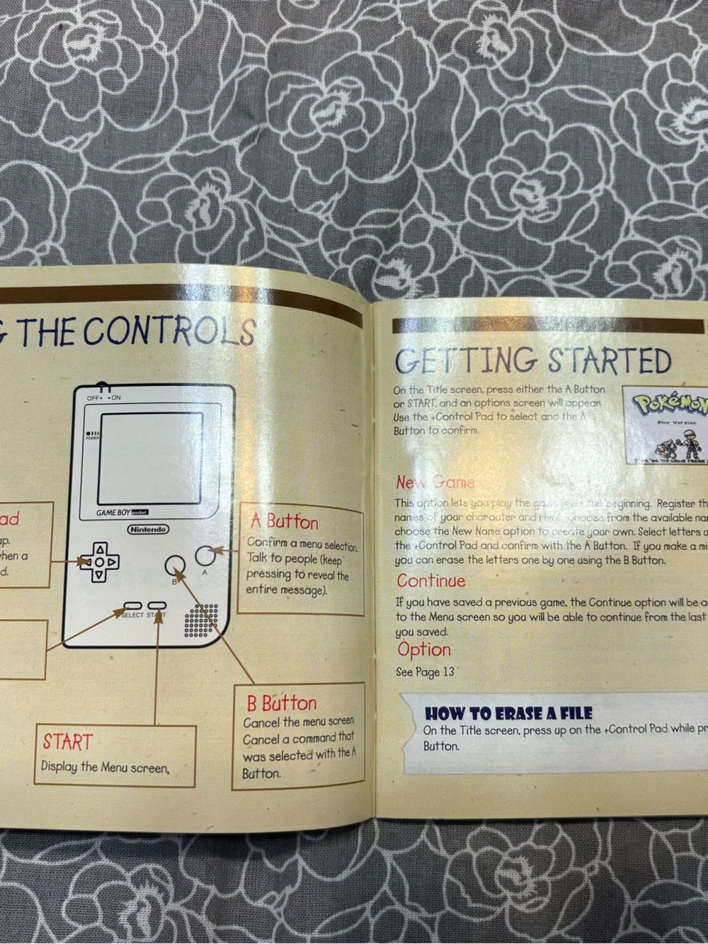 Nintendo Pokémon Trainer's Guide & Rules Booklets - Brown and Blue